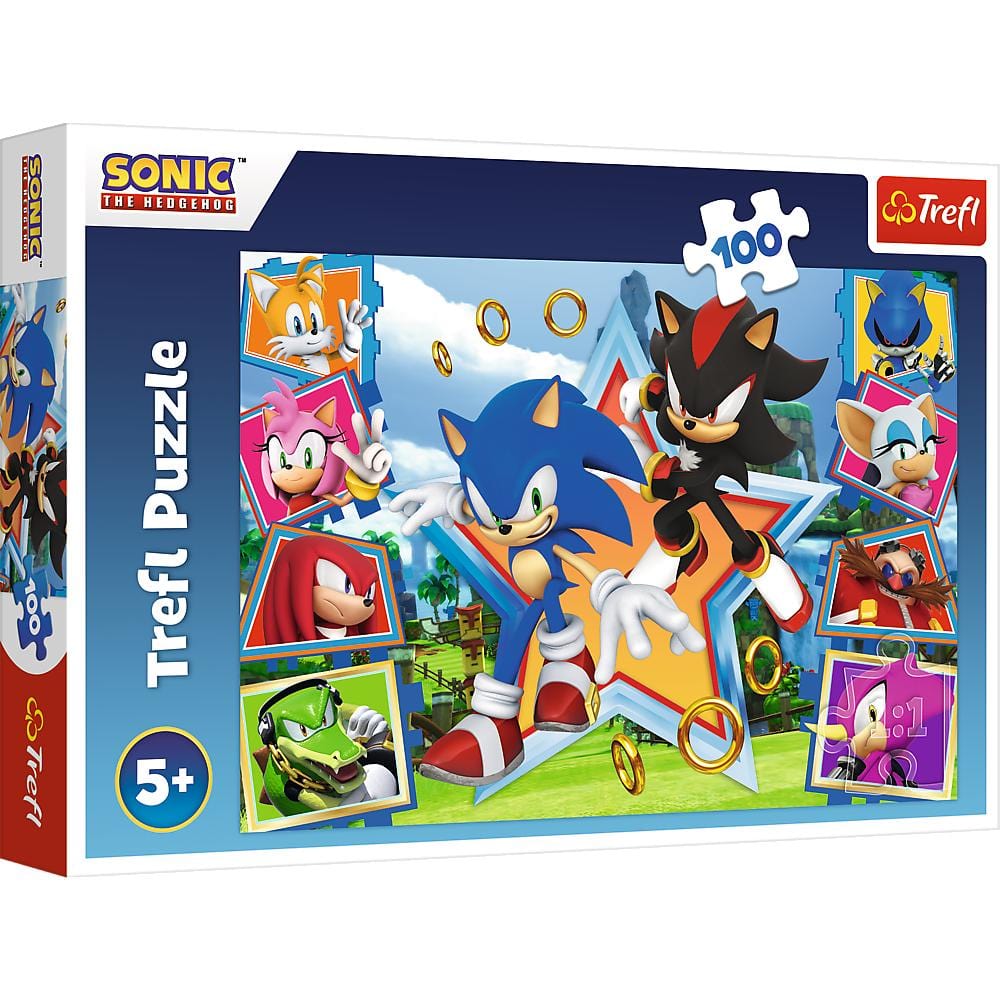 Toys 100 Piece Puzzle - Sonic: Meet Sonic