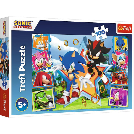Toys 100 Piece Puzzle - Sonic: Meet Sonic