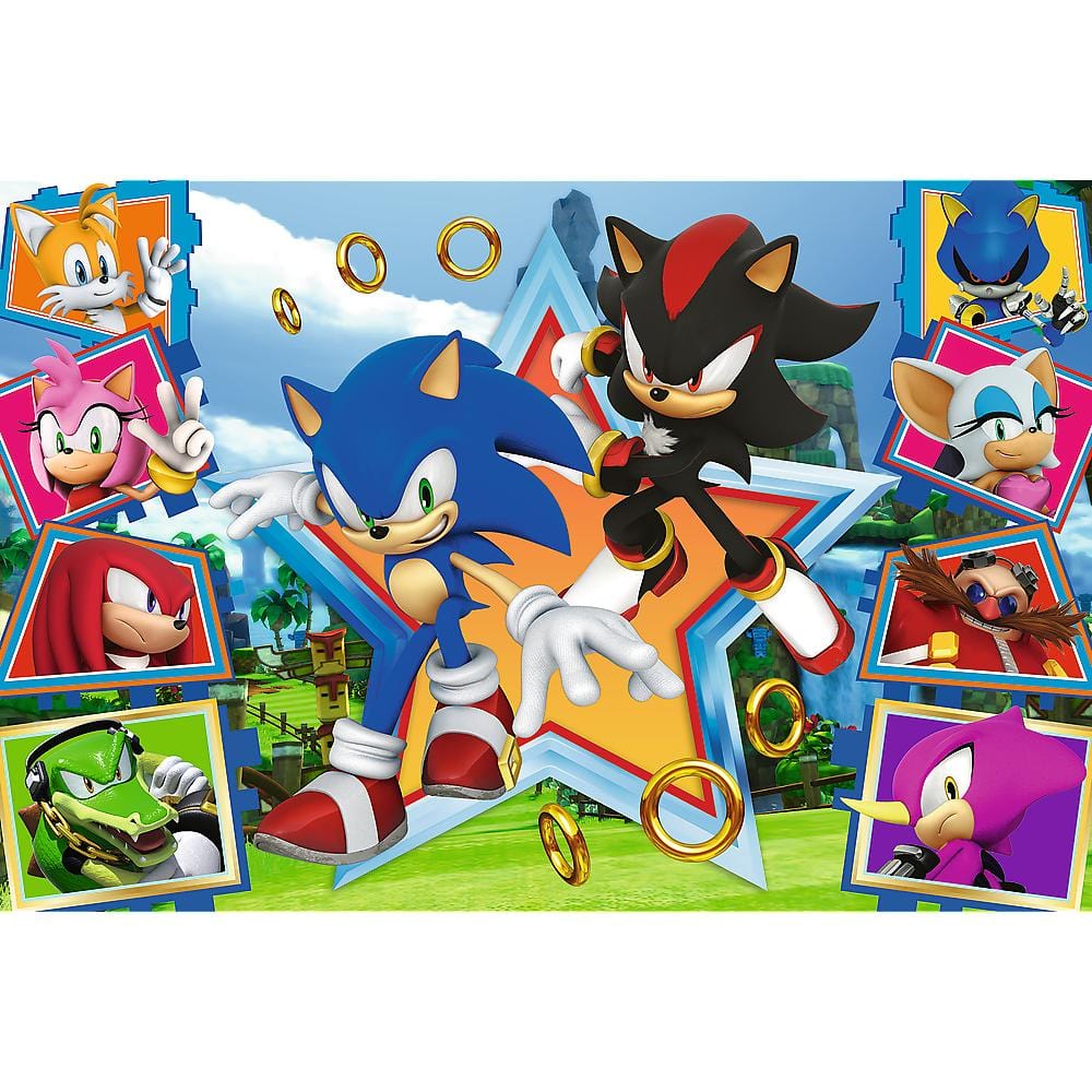 Toys 100 Piece Puzzle - Sonic: Meet Sonic