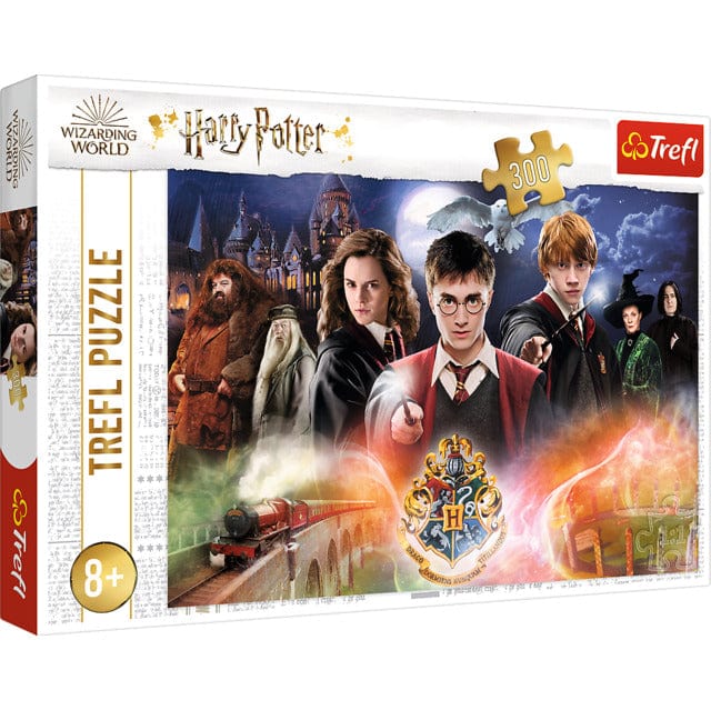 Toys Puzzles - 300 - The Secret Harry Potter / Warner