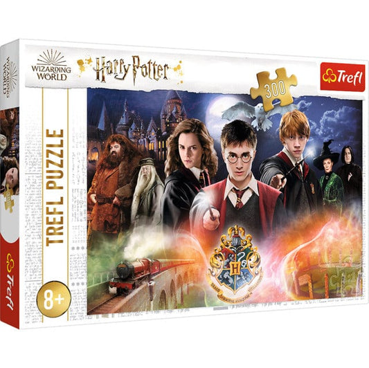 Toys Puzzles - 300 - The Secret Harry Potter / Warner