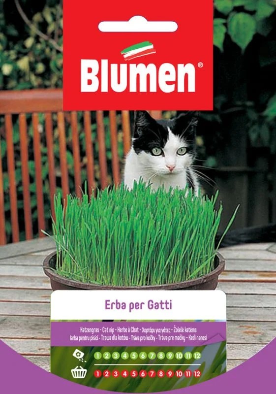 HERB FOR CATS