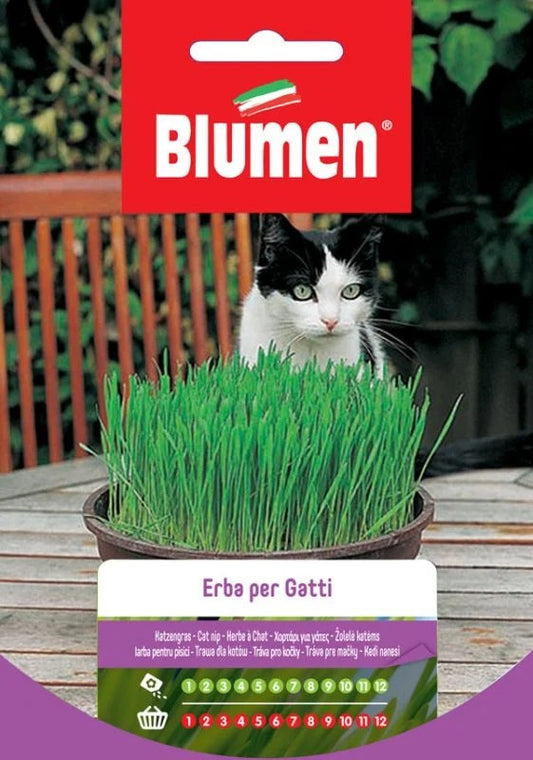HERB FOR CATS