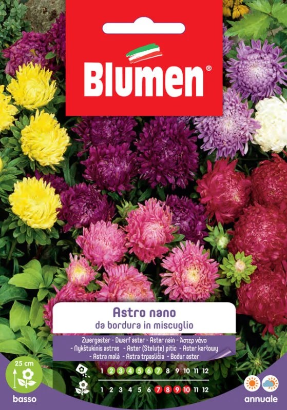 EV ASTRO DWARF BORDER IN MIX -