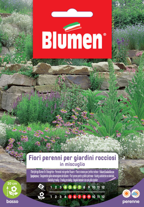 EV FLOWERS PERENNIAL GIAR.ROCC.  -