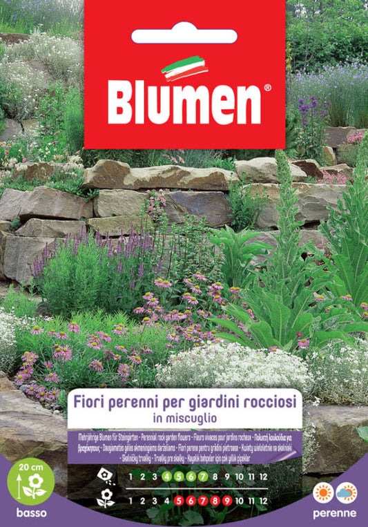 EV FLOWERS PERENNIAL GIAR.ROCC.  -