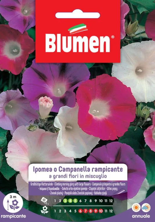 HYPOMEA BELLS.RAMPIC. MIX