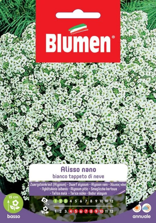 DWARF SNOW CARPET ALYSSUM