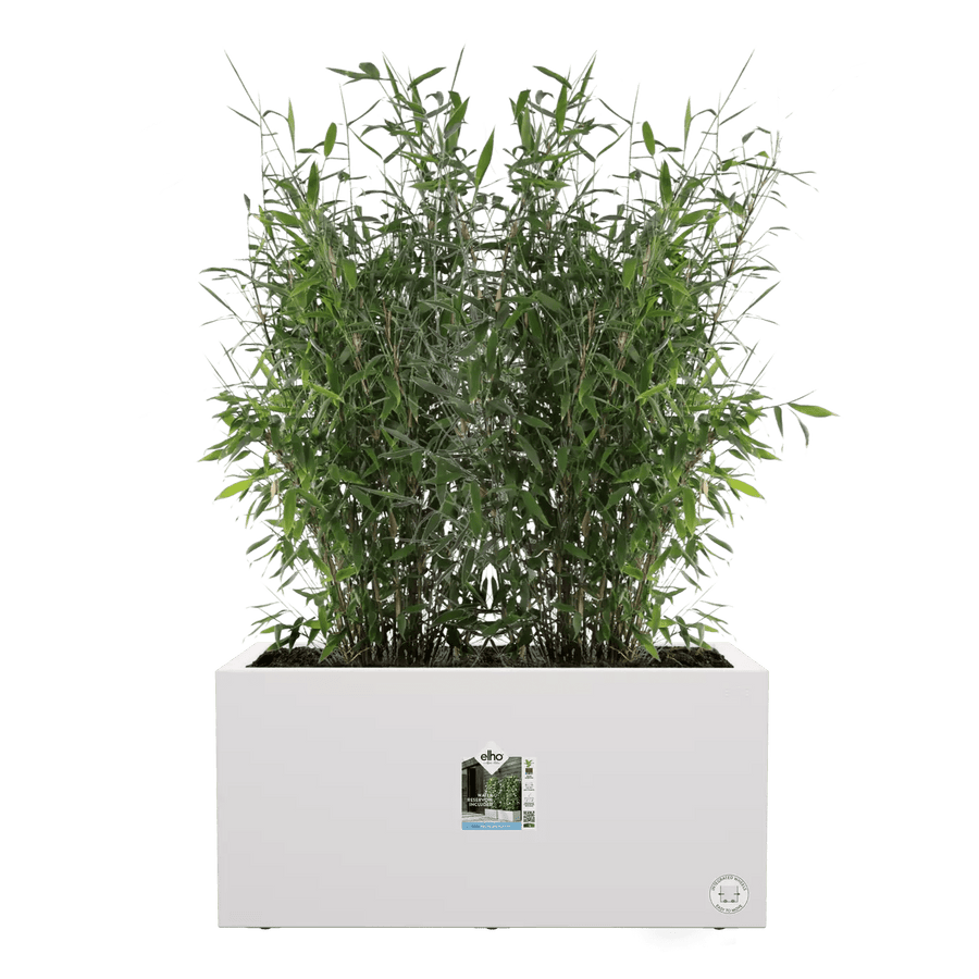 Bricocenter VASO VIVO NEXT LONG 60 BIANCO, CON RUOTE E RISERVA D'ACQUA