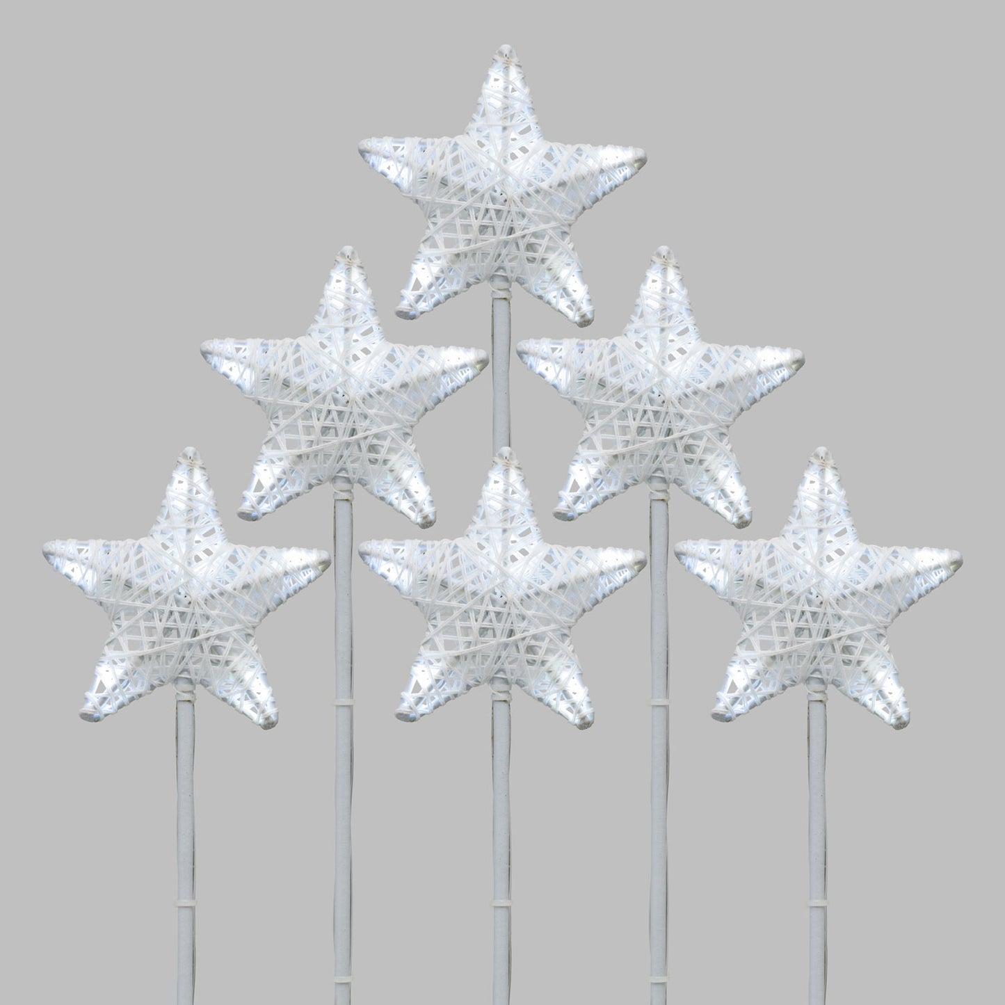 6 GARDEN STARS 36 LED WARM AND COLD LIGHT WITH STAKE