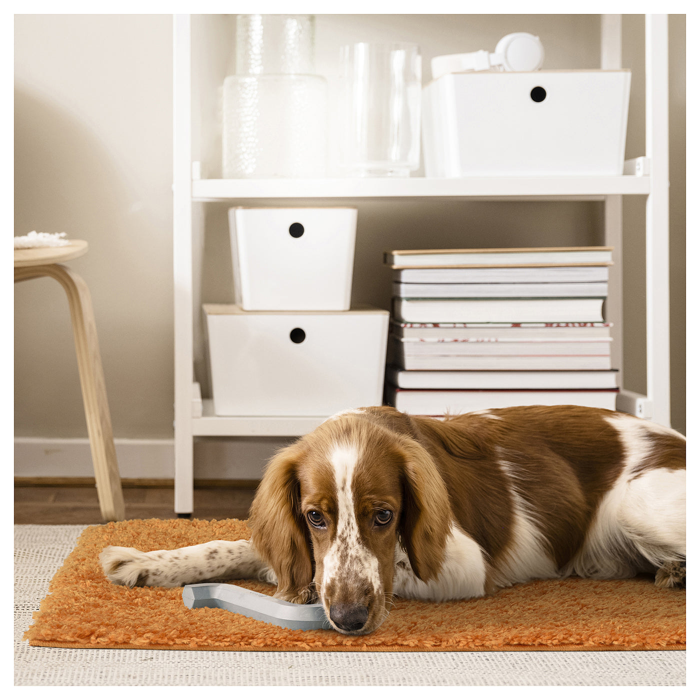 ÄRENDE rug, high pile, orange, 80x80 cm