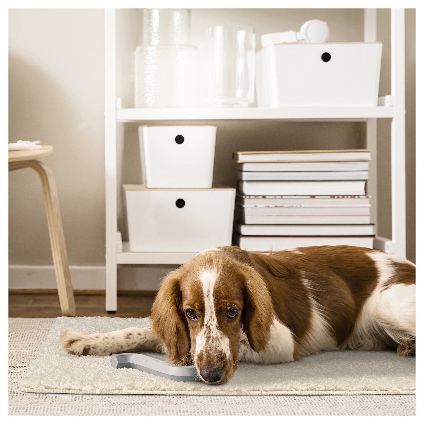 ÄRENDE rug, high pile, off-white, 80x80 cm