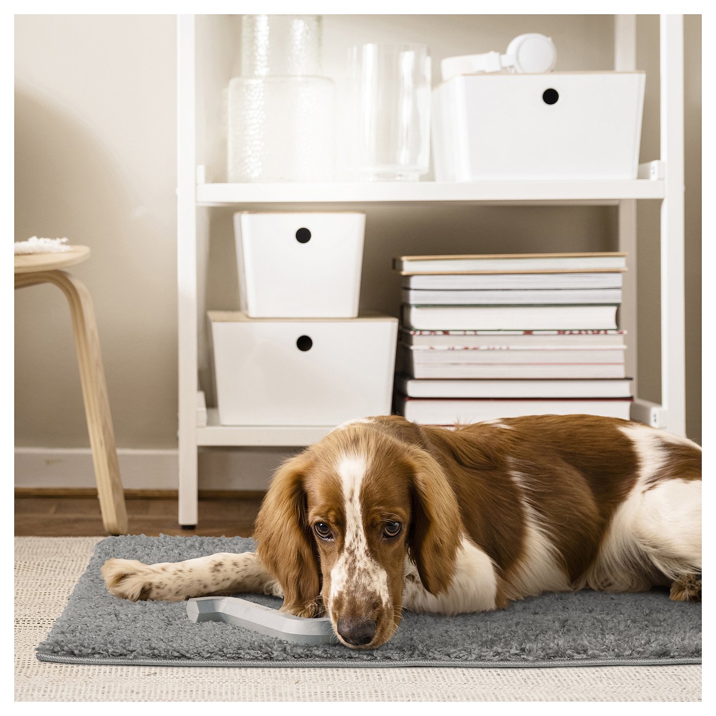 ÄRENDE rug, high pile, grey, 80x80 cm