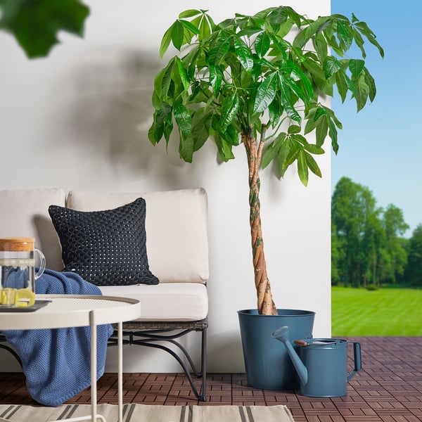 ÅKERBÄR - Watering can, in/outdoor dark blue, 5 l