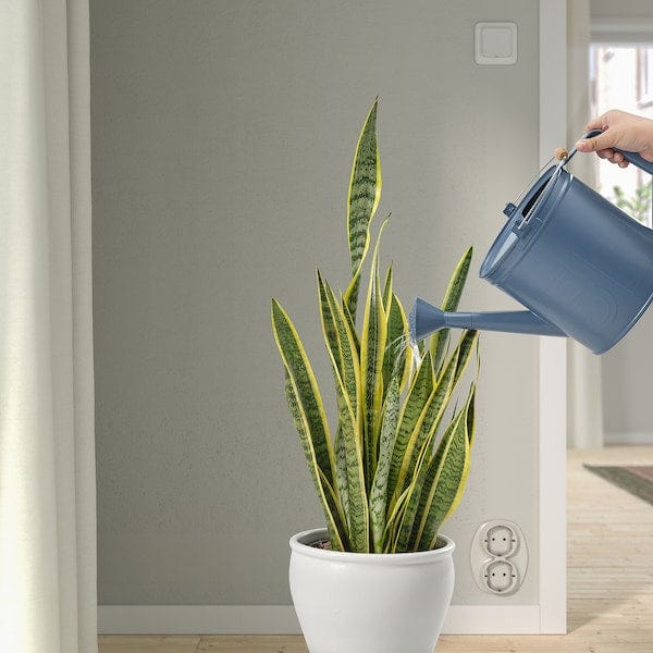 Ikea ÅKERBÄR - Watering can, indoor/outdoor dark blue,5 l