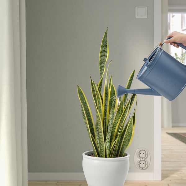 ÅKERBÄR - Watering can, in/outdoor dark blue, 5 l