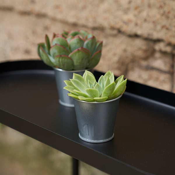 ÅKERBÄR plant pot, in/outdoor/galvanised, 6 cm