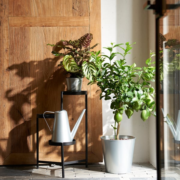ÅKERBÄR - Plant pot, in/outdoor/galvanised, 12 cm