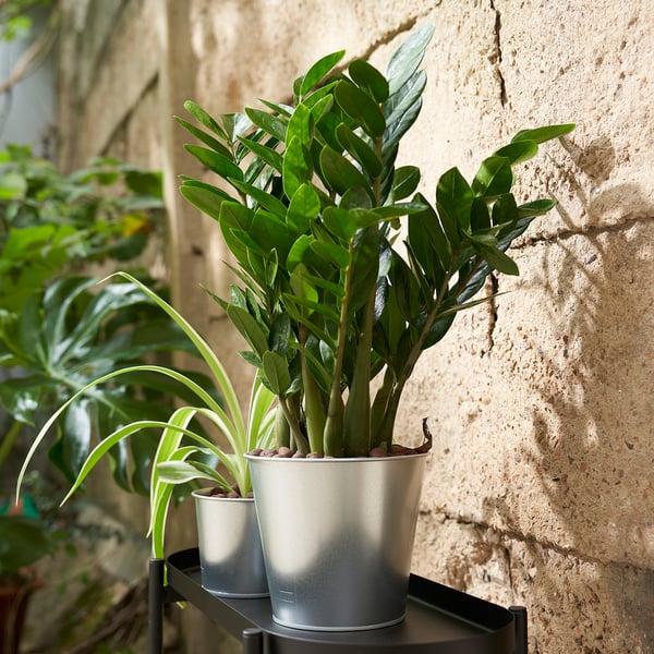 ÅKERBÄR plant pot, in/outdoor/galvanised, 15 cm