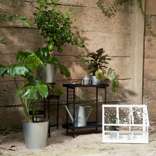ÅKERBÄR plant pot, in/outdoor/galvanised, 24 cm