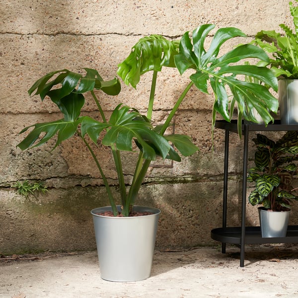 ÅKERBÄR plant pot, in/outdoor/galvanised, 24 cm