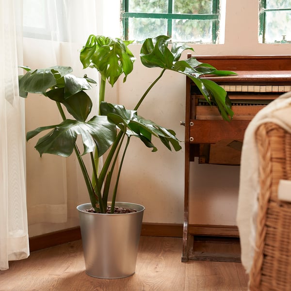 ÅKERBÄR plant pot, in/outdoor/galvanised, 24 cm