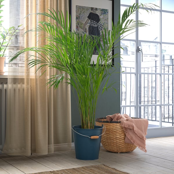 ÅKERBÄR - Bucket/plant pot, in/outdoor dark blue, 10 l