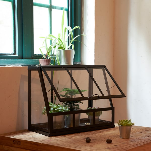 ÅKERBÄR greenhouse, in/outdoor/anthracite, 45 cm