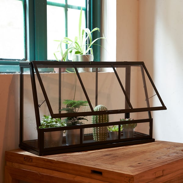ÅKERBÄR greenhouse, in/outdoor/anthracite, 65 cm