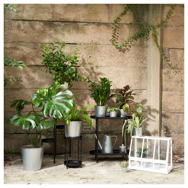 ÅKERBÄR greenhouse, in/outdoor/white, 45 cm