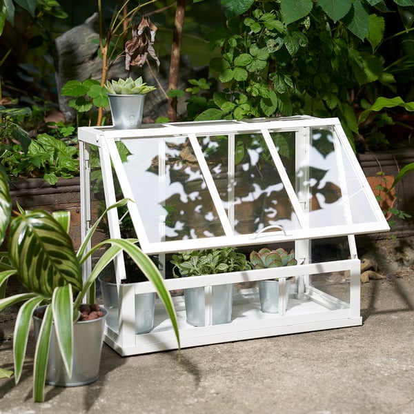 ÅKERBÄR greenhouse, in/outdoor/white, 45 cm