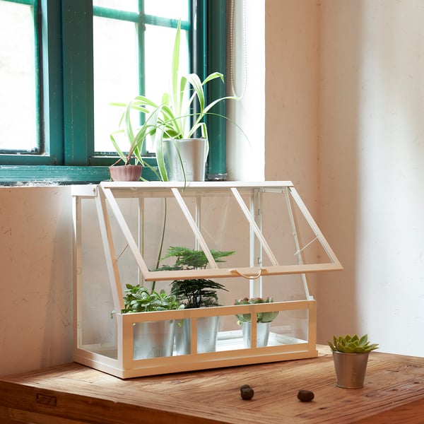 ÅKERBÄR greenhouse, in/outdoor/white, 45 cm