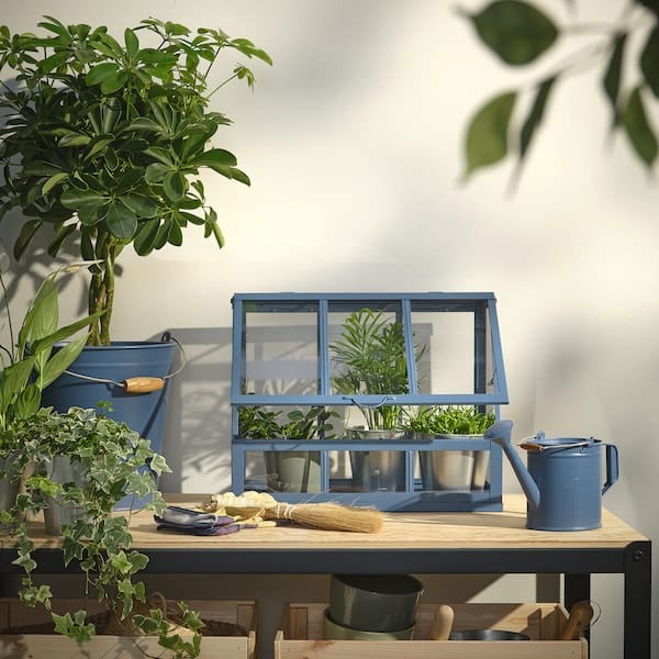 Ikea ÅKERBÄR - Greenhouse, indoor/outdoor dark blue,45 cm