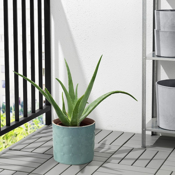 ALGERGRAN - Planter holder, indoor/outdoor light green,15 cm