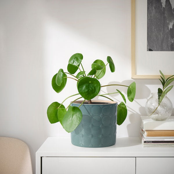 ALGERGRAN - Planter holder, indoor/outdoor light green,15 cm