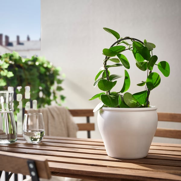 AMBRARÖNN plant pot, in/outdoor/white, 15 cm