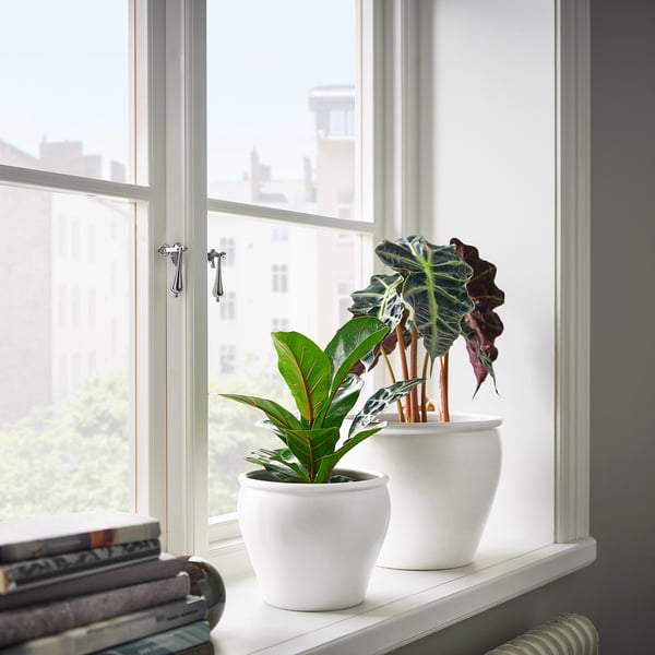 AMBRARÖNN plant pot, in/outdoor/white, 15 cm