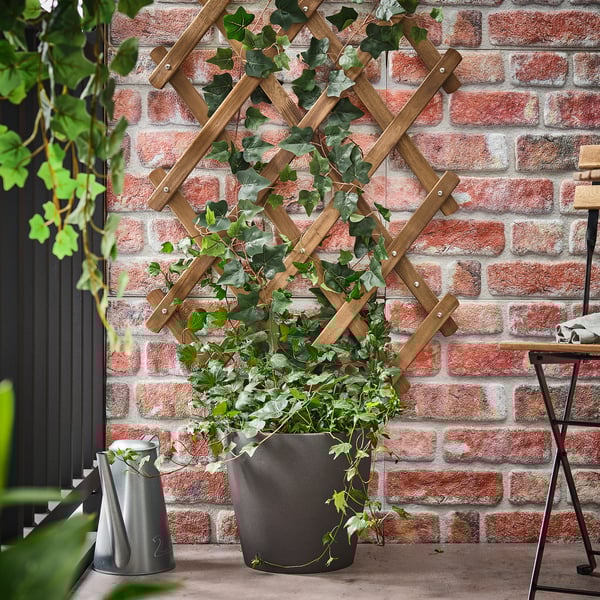 ASKHOLMEN trellis, dark brown, 72x190x3 cm