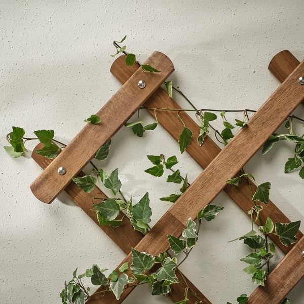 ASKHOLMEN trellis, dark brown, 72x190x3 cm