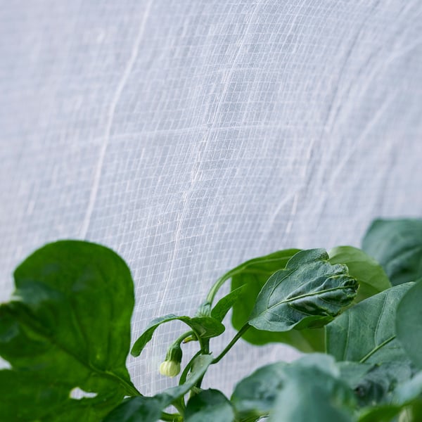 ASPAREN - Cover for planter, outdoor/transparent white, 83x51x31 cm