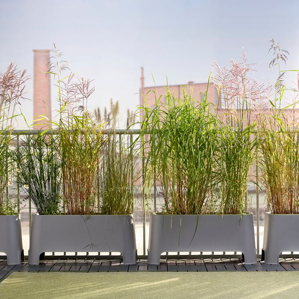 ASPAREN planter, grey outdoor, 89x38 cm