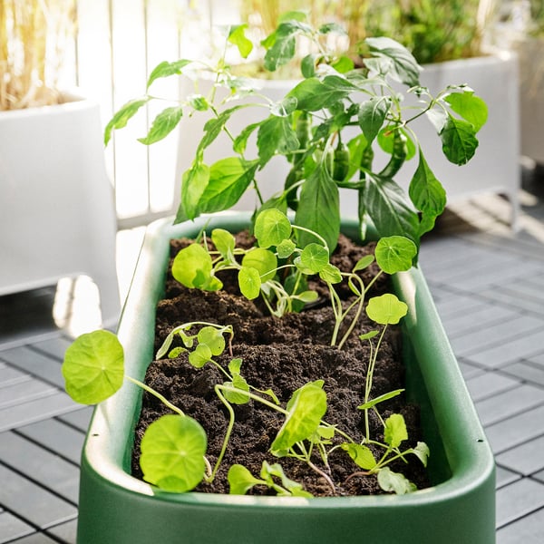 ASPAREN planter, green outdoor, 89x38 cm