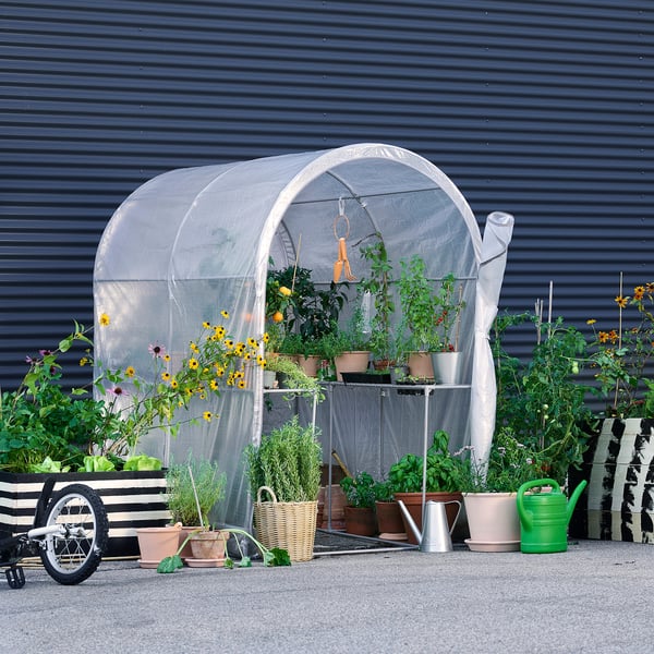 ASPAREN greenhouse, transparent white, 123x190x190 cm