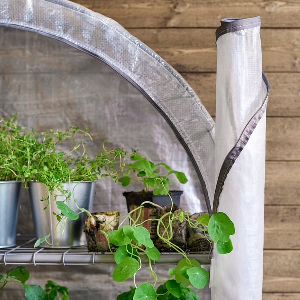 ASPAREN - Greenhouse, transparent white,95x32x162 cm