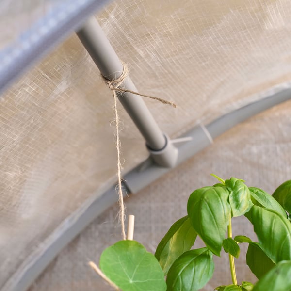 ASPAREN - Greenhouse, transparent white,95x32x162 cm