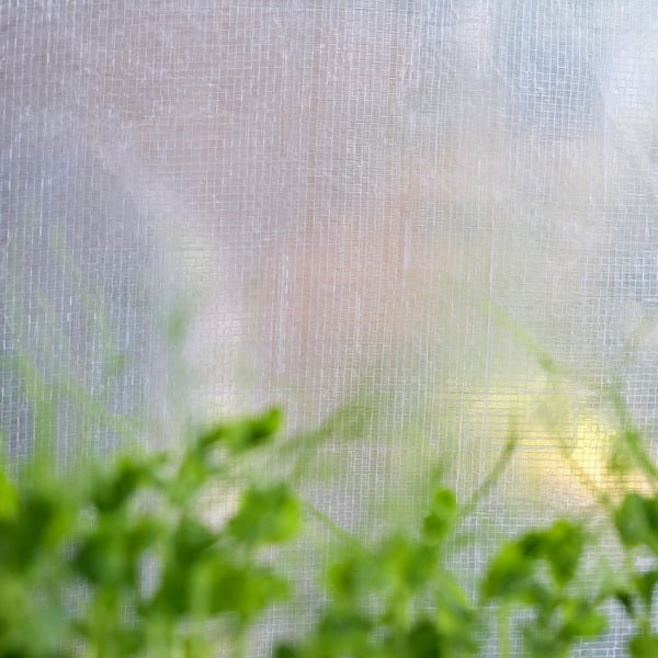 ASPAREN - Greenhouse, transparent white,95x32x162 cm