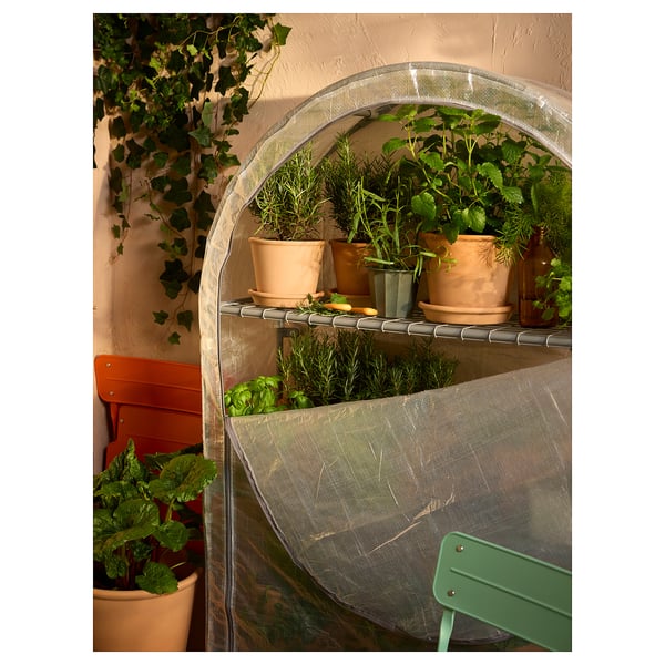 ASPAREN - Greenhouse, transparent white,95x32x162 cm