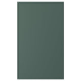 ASPUDDEN door, dark grey-green, 60x100 cm