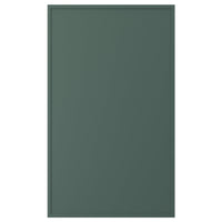 ASPUDDEN door, dark grey-green, 60x100 cm