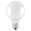 E27=100W GLOBE FROSTED LED BULB
